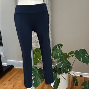 Zara High Waist Navy pants with side zippers. Size 29 NWT